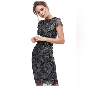Paper Dolls Metallic Lace Pencil Dress